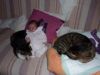2011-11-11 01-22-40.JPG, nov. 2011